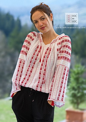 modele ie traditionala